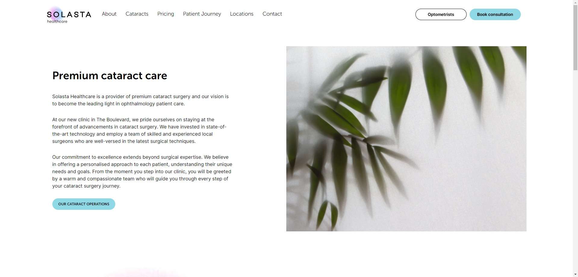Solasta Healthcare- WordPress Design and Development